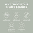 Load image into Gallery viewer, First Autumn Frost 3-Wick Candle
