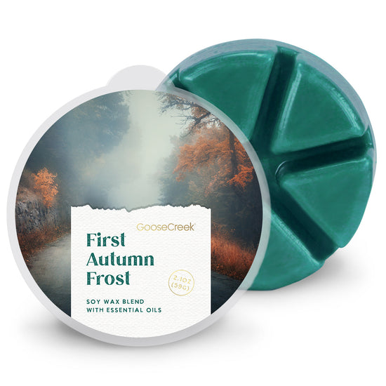 Load image into Gallery viewer, First Autumn Frost Wax Melt
