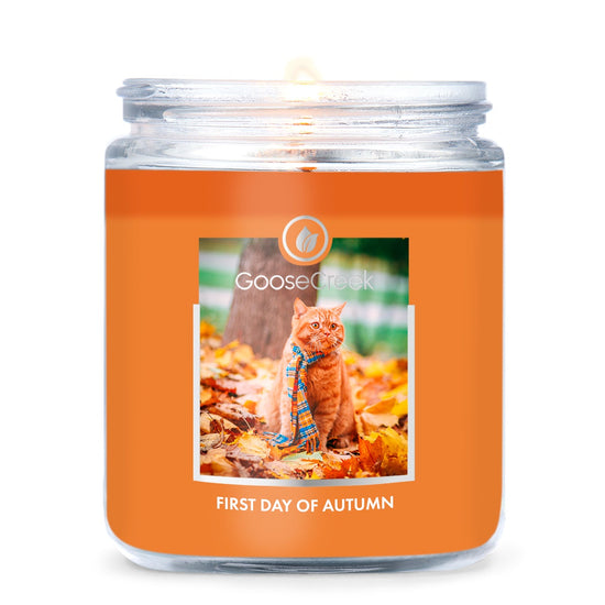 Load image into Gallery viewer, First Day of Autumn 7oz Single Wick Candle
