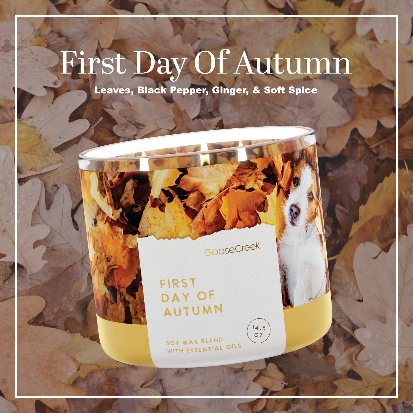 First Day of Autumn Large 3-Wick Candle