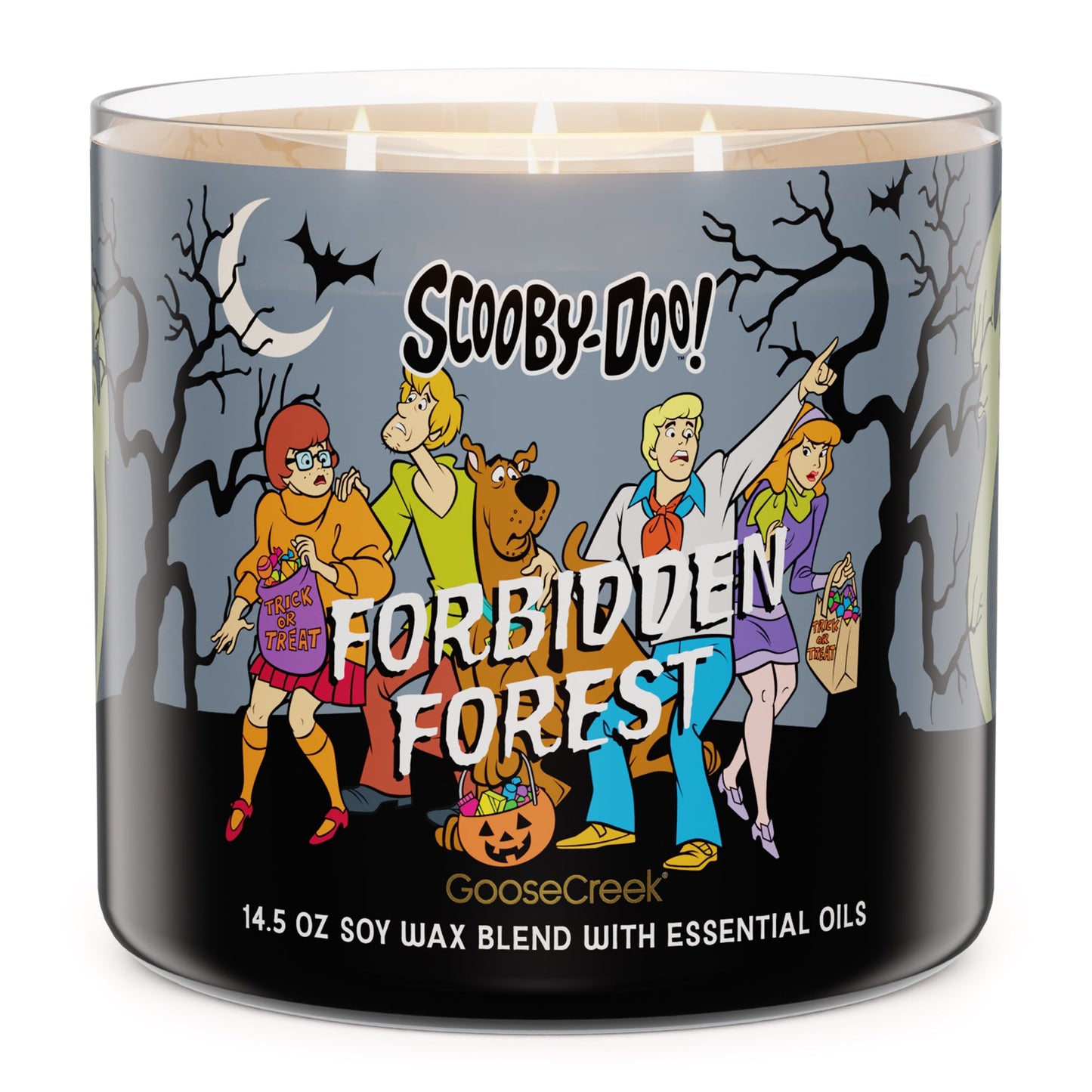 Load image into Gallery viewer, Forbidden Forest 3-Wick Scooby-Doo Candle
