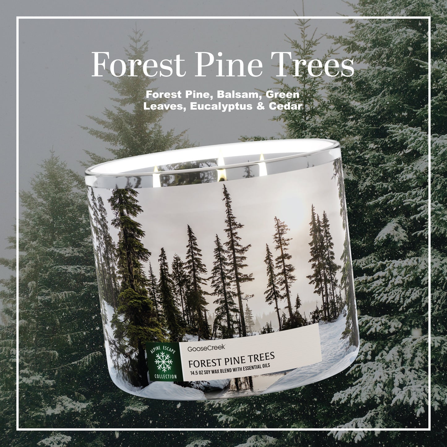 Forest Pine Trees 3-Wick Candle