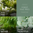 Load image into Gallery viewer, Forest Pine Trees 3-Wick Candle
