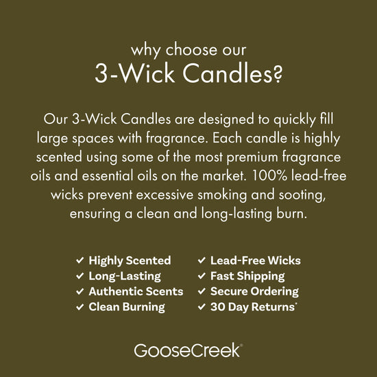 Forest Pine Trees 3-Wick Candle