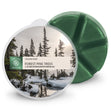 Load image into Gallery viewer, Forest Pine Trees Wax Melt
