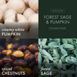 Load image into Gallery viewer, Forest Sage &amp;amp; Pumpkin 3-Wick Candle
