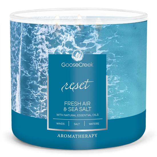 Fresh Air & Sea Salt Aromatherapy Large 3-Wick Candle