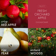 Load image into Gallery viewer, Fresh Orchard Apple 3-Wick Candle
