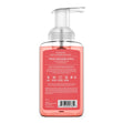 Load image into Gallery viewer, Fresh Orchard Apple Lush Foaming Hand Soap
