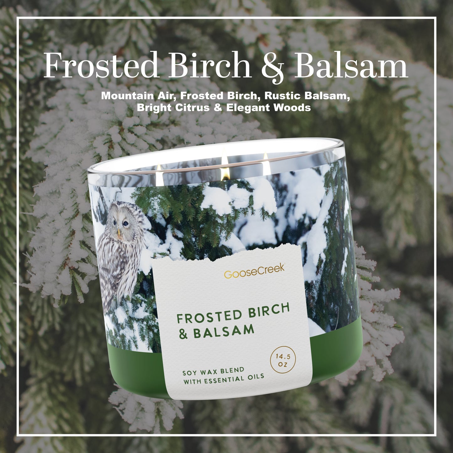 Frosted Birch & Balsam 3-Wick Candle