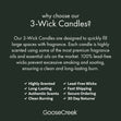 Load image into Gallery viewer, Frosted Birch &amp;amp; Balsam 3-Wick Candle
