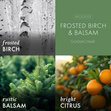 Load image into Gallery viewer, Frosted Birch &amp;amp; Balsam 3-Wick Candle
