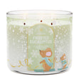 Load image into Gallery viewer, Frosted Eucalyptus 3-Wick Candle
