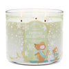 Frosted Eucalyptus 3-Wick Candle