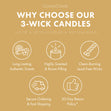 Load image into Gallery viewer, Fruit Cake Jamaica Large 3-Wick Candle
