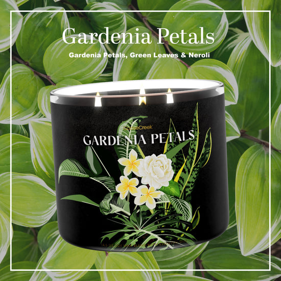 Gardenia Petals 3-Wick Candle