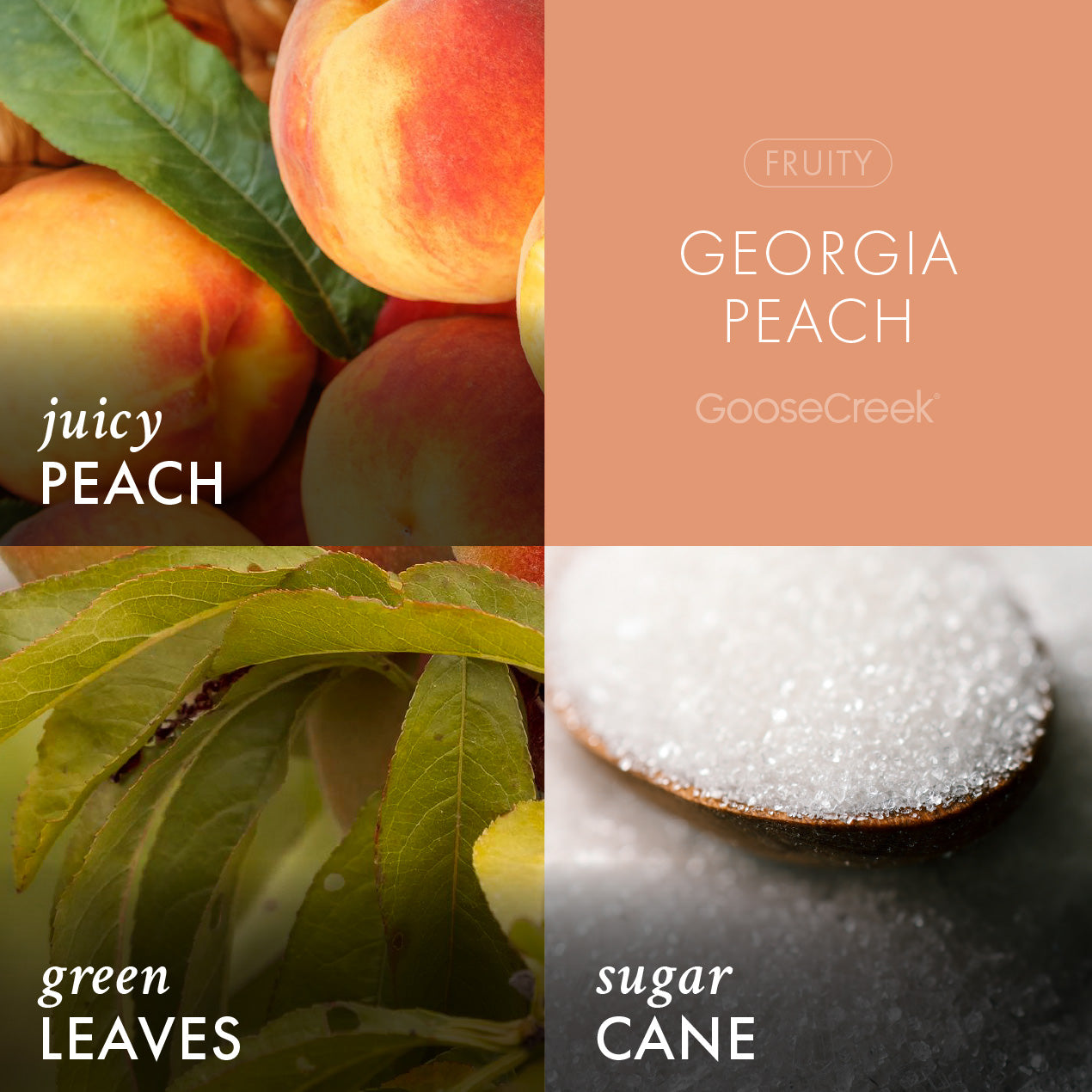 Georgia Peach 3-Wick Candle