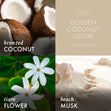 Load image into Gallery viewer, Golden Coconut Glow 3-Wick Candle
