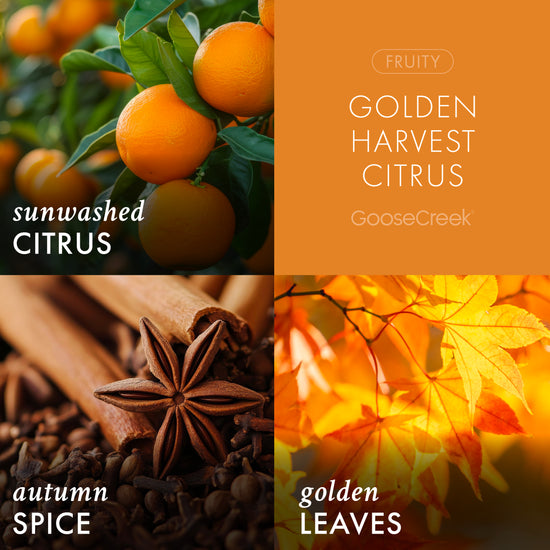 Golden Harvest Citrus 3-Wick Candle