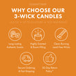 Load image into Gallery viewer, Golden Harvest Citrus 3-Wick Candle
