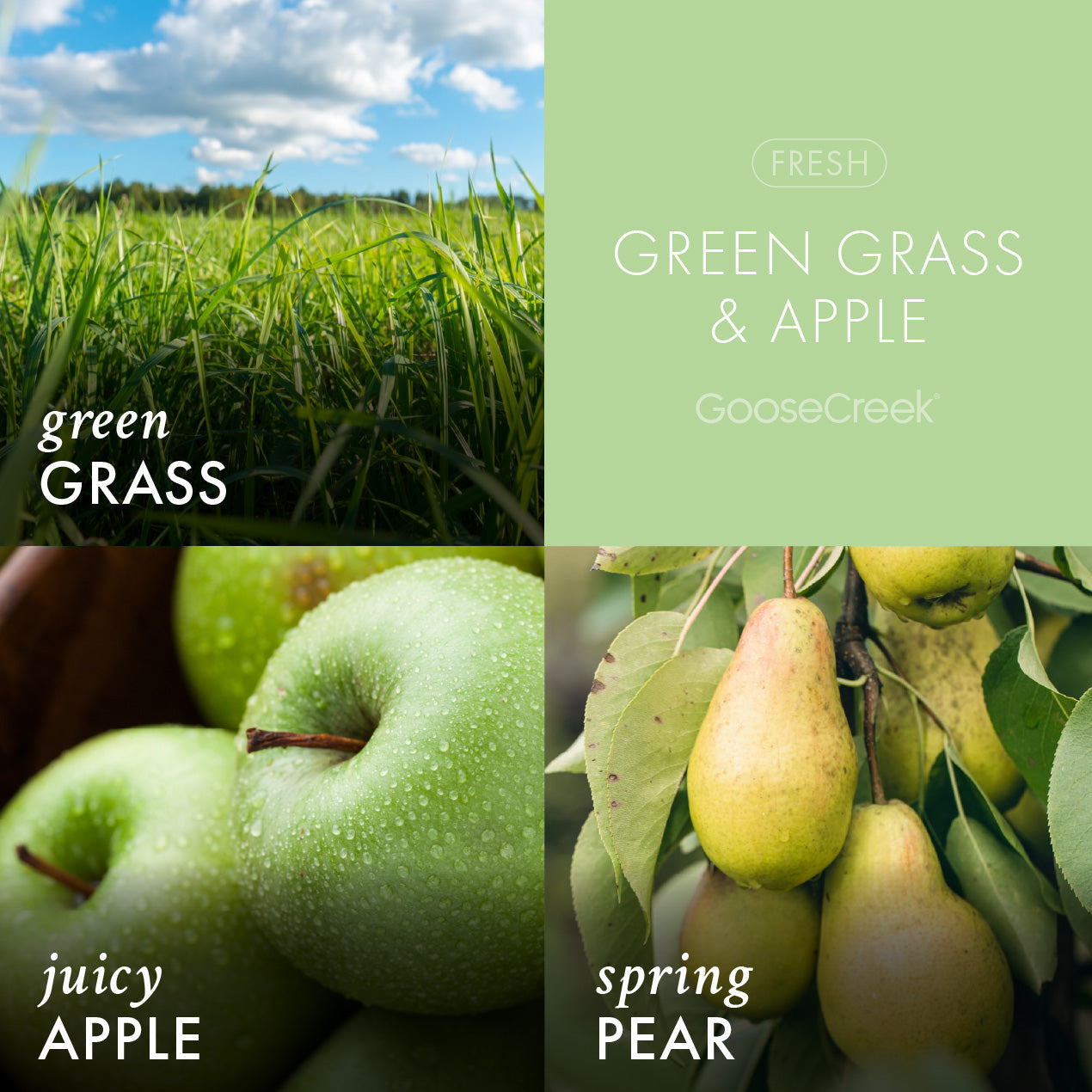 Green Grass & Apple 3-Wick Candle