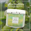 Load image into Gallery viewer, Green Sea Grass 3-Wick Candle
