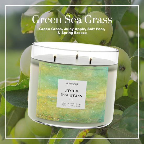 Green Sea Grass 3-Wick Candle