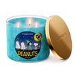 Load image into Gallery viewer, Halloween Night 3-Wick Peanuts Candle
