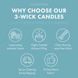 Load image into Gallery viewer, Halloween Night 3-Wick Peanuts Candle
