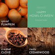 Load image into Gallery viewer, Happy Howl-O-Ween 3-Wick Peanuts Candle
