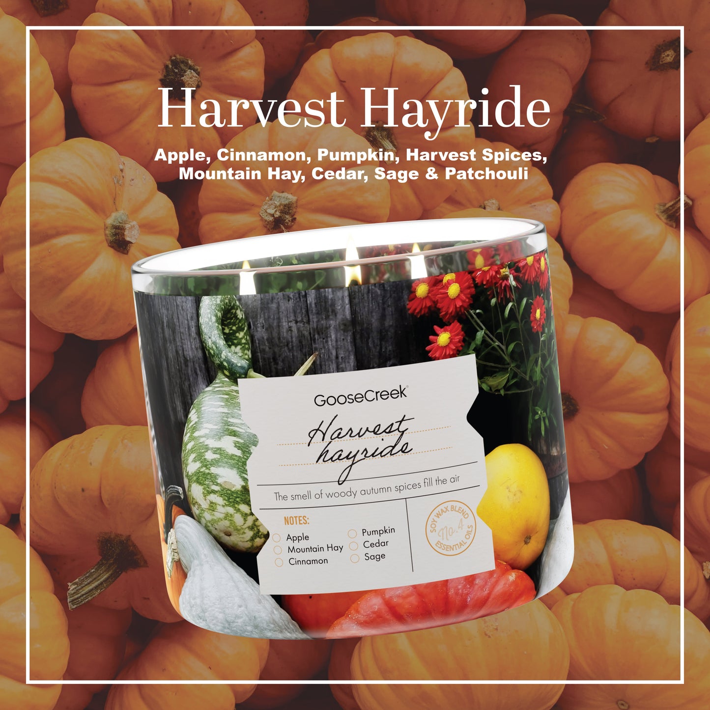 Harvest Hayride 3-Wick Candle