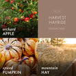 Load image into Gallery viewer, Harvest Hayride 3-Wick Candle
