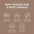 Load image into Gallery viewer, Harvest Hayride 3-Wick Candle
