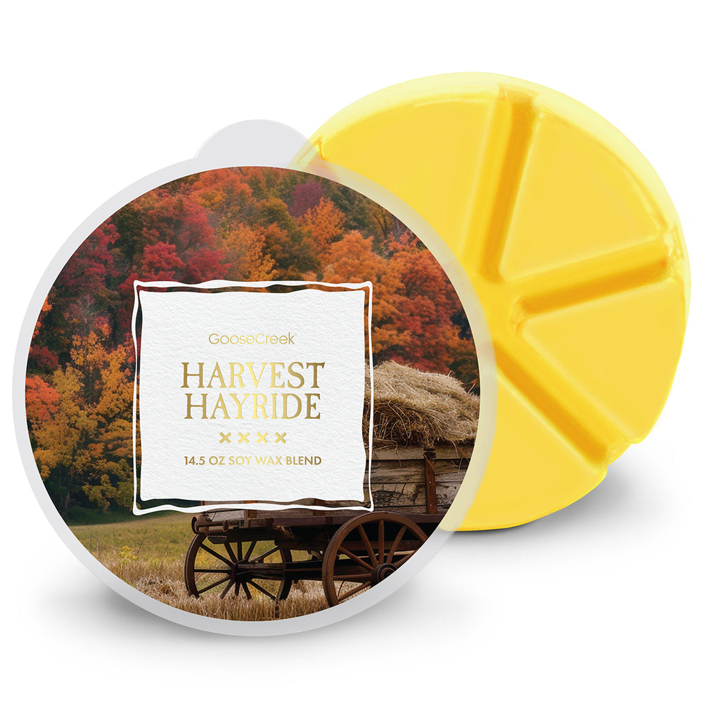 Experience the Warmth of Home: Harvest Hayride Wax Melt – Goose