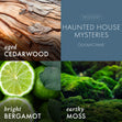Load image into Gallery viewer, Haunted House Mysteries 3-Wick Scooby-Doo Candle
