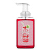 Hibiscus Fruit Punch Lush Foaming Hand Soap