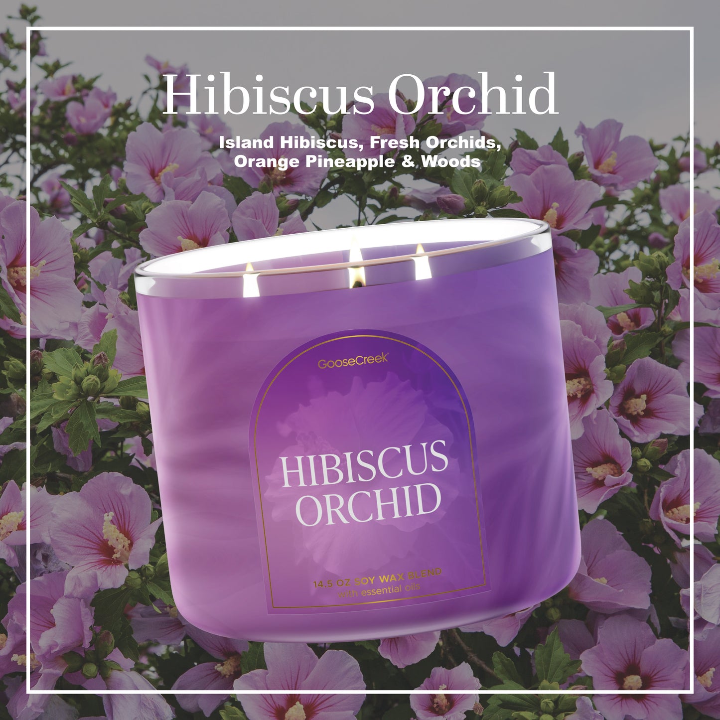 Hibiscus Orchid 3-Wick Candle