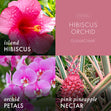 Load image into Gallery viewer, Hibiscus Orchid 3-Wick Candle
