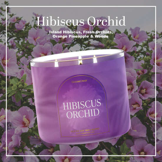 Hibiscus Orchid Large 3-Wick Candle