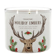 Load image into Gallery viewer, Holiday Embers 3-Wick Candle
