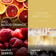 Load image into Gallery viewer, Holiday Party Toast 3-Wick Candle
