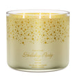 Load image into Gallery viewer, Holiday Party Toast 3-Wick Candle
