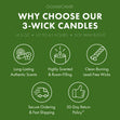 Load image into Gallery viewer, Honey Pear Crumble 3-Wick Candle
