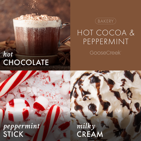 Hot Cocoa & Peppermint 3-Wick Candle