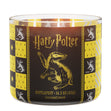 Load image into Gallery viewer, Hufflepuff 3-Wick Harry Potter Candle
