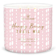 Load image into Gallery viewer, Hungry Bunny Trail Mix Large 3-Wick Candle
