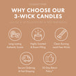 Load image into Gallery viewer, Ivory Pumpkin 3-Wick Candle
