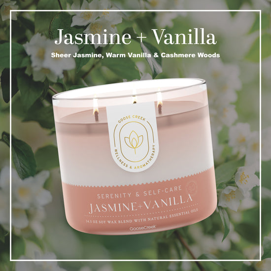 Jasmine & Vanilla Aromatherapy 3-Wick Candle