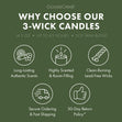 Load image into Gallery viewer, Jungle Palm Trees 3-Wick Candle
