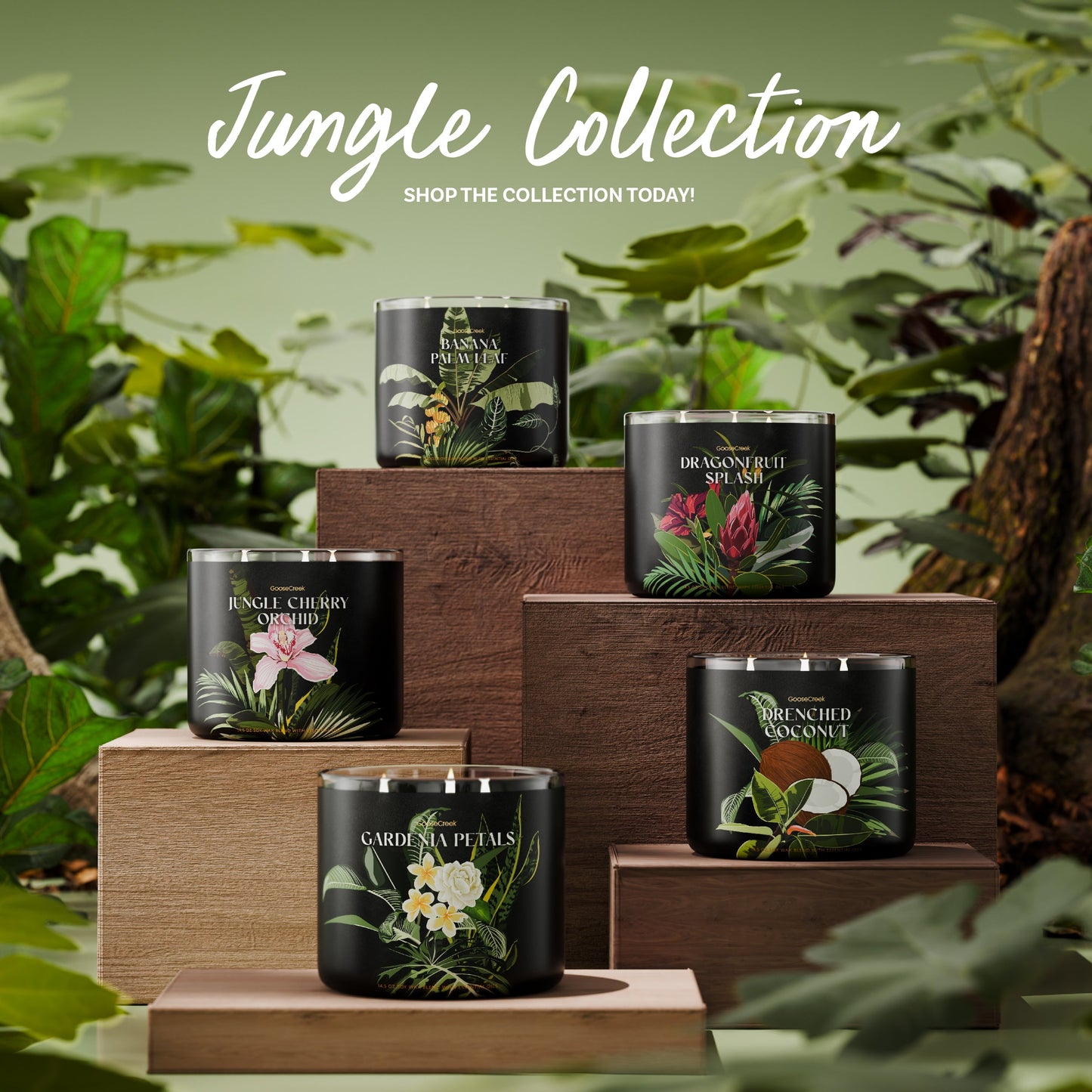 Jungle Palm Trees Large 3-Wick Candle